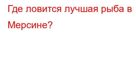 Где ловится лучшая рыба в Мерсине?